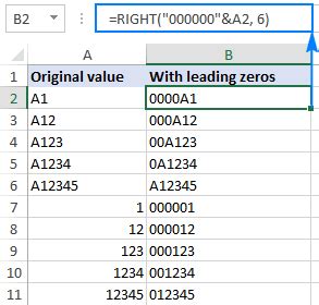 php add zero before number|How to Properly Format a Number With Leading Zeros in .